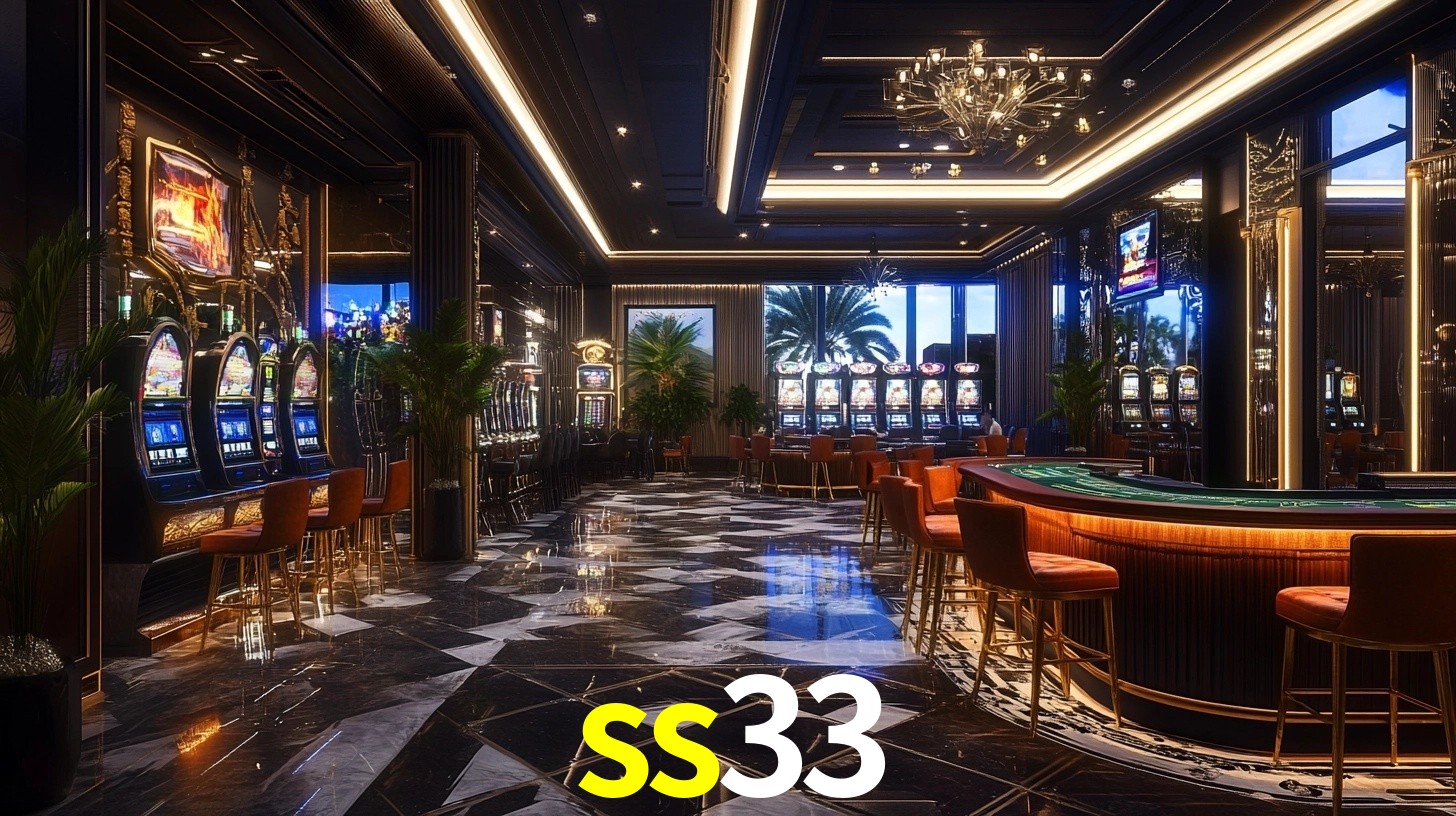 ss33 App Interface